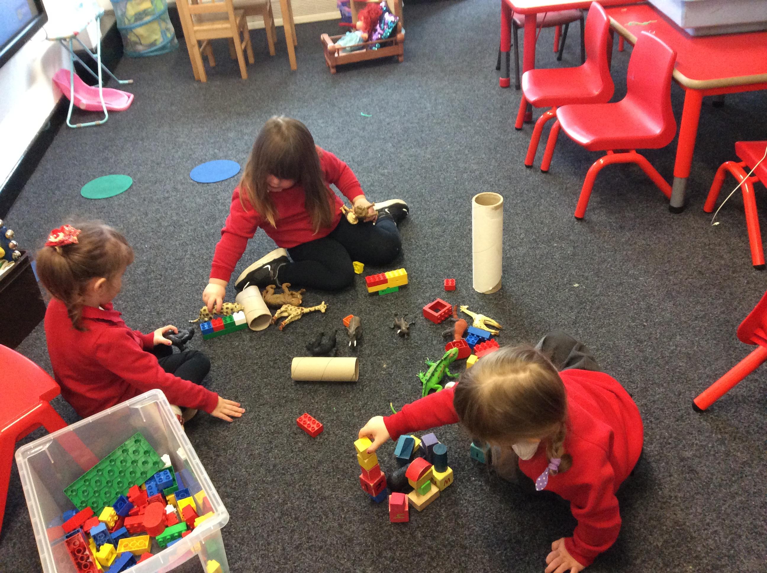Making homes for the jungle animals